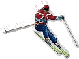 Skier