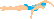 Swimmer